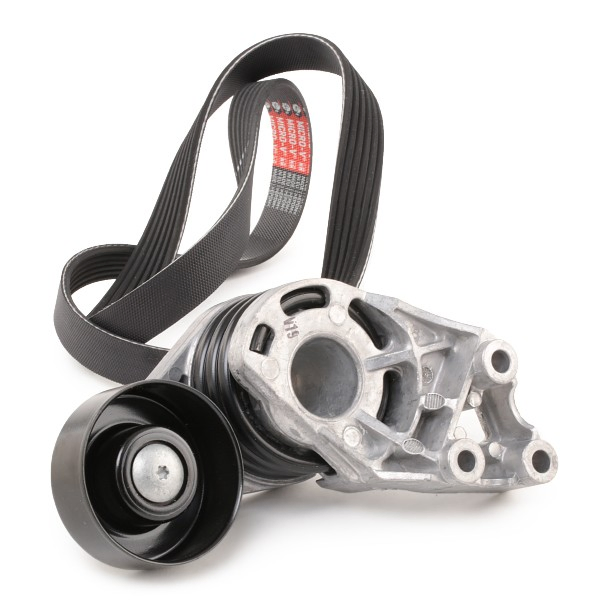 Comprar Correa de transmisión Skoda Fabia PRAKTIK 