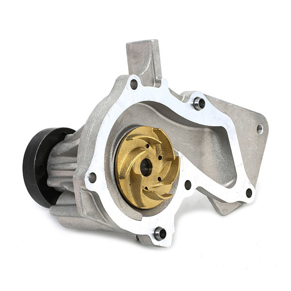 Comprar KP15669XS Gates Kit de correa de distribución