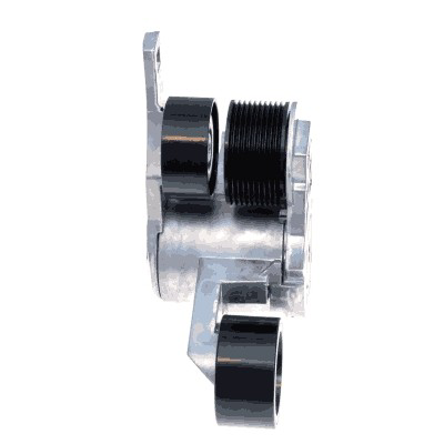 Tensor de correa poli V T38667 Gates