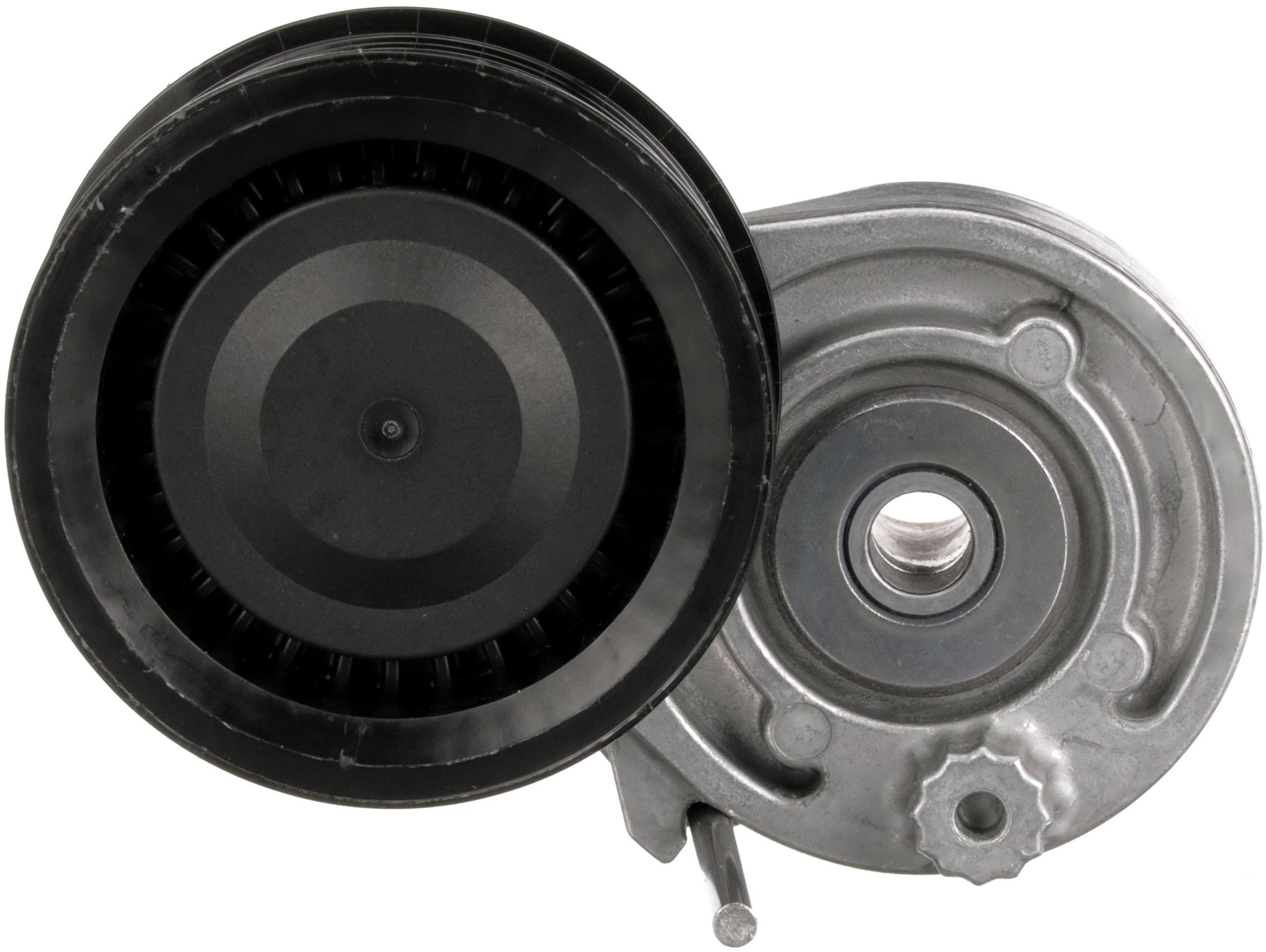 Tensor de la correa trapecial poli v Smart FORFOUR 