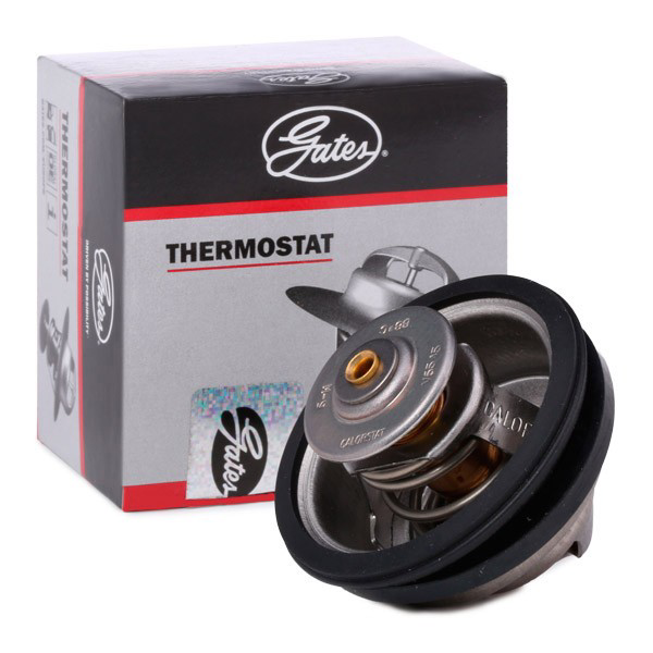 8389512 Volvo Termostato de agua