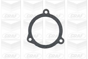 Comprar PA404 Graf Bomba de agua para motor
