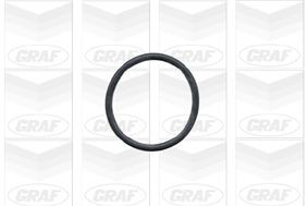Bombeadora de agua Graf PA430 precio, desde 74,93 EUR
