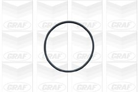 Bombeadora de agua Graf PA588 precio, desde 45,38 EUR