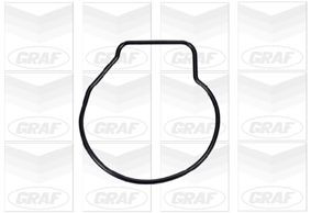 Comprar PA669 Graf Bomba de agua para motor