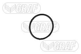 Bombeadora de agua Graf PA765 precio, desde 58,91 EUR