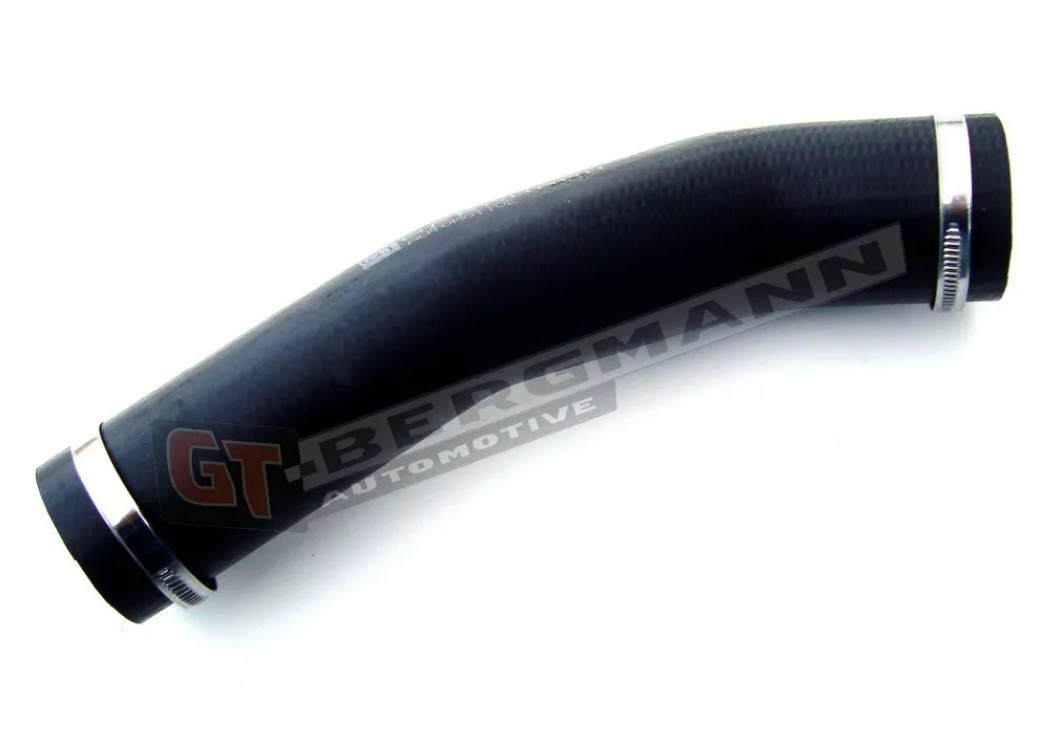 GT52107 GT-Bergmann