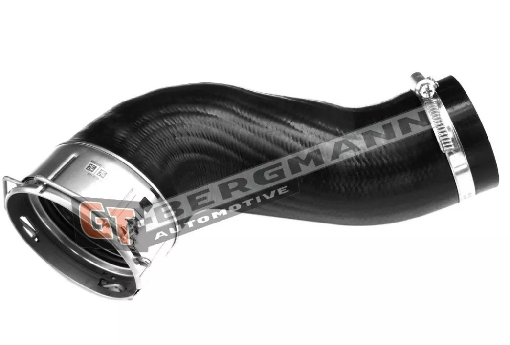 GT52233 GT-Bergmann