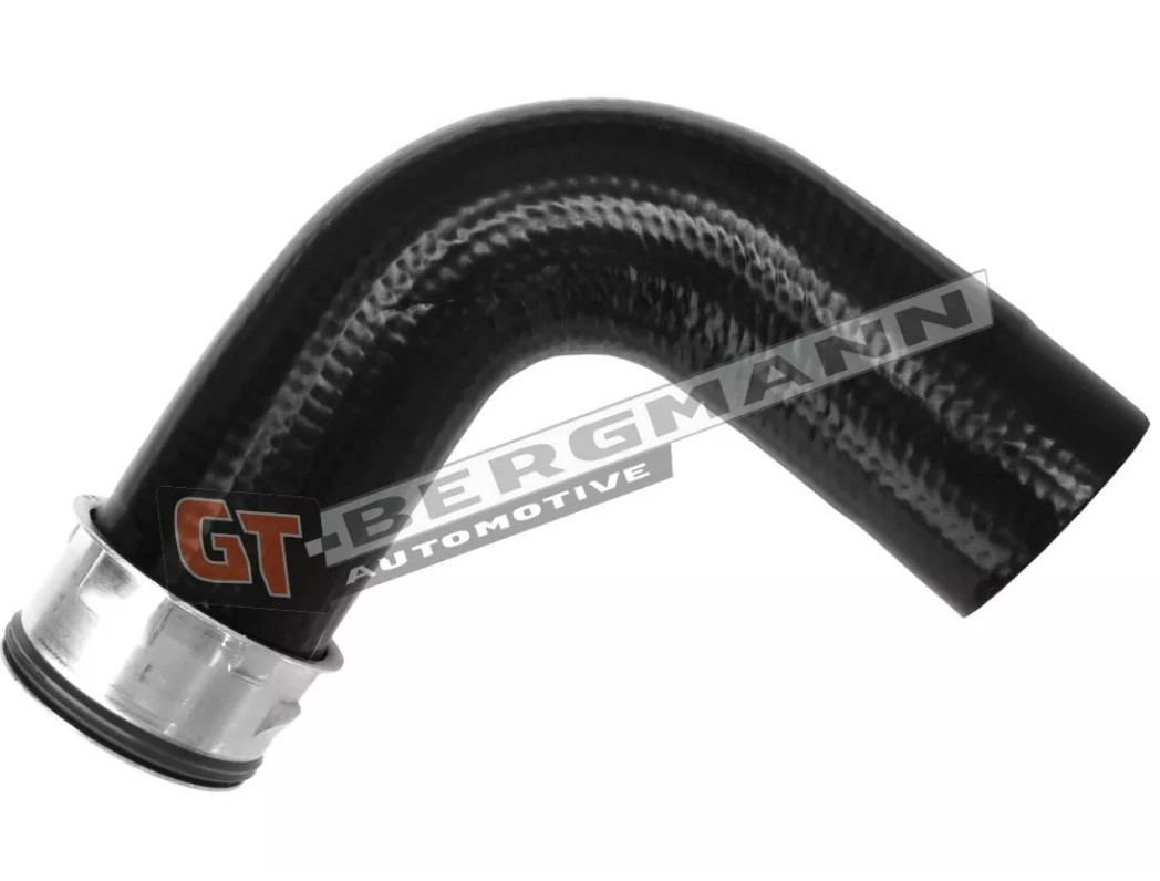 GT52459 GT-Bergmann