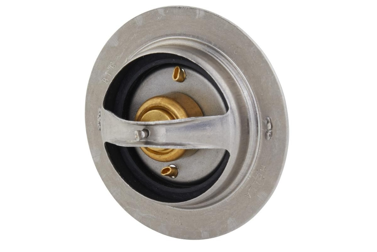 Comprar 504031212 Iveco Termostato