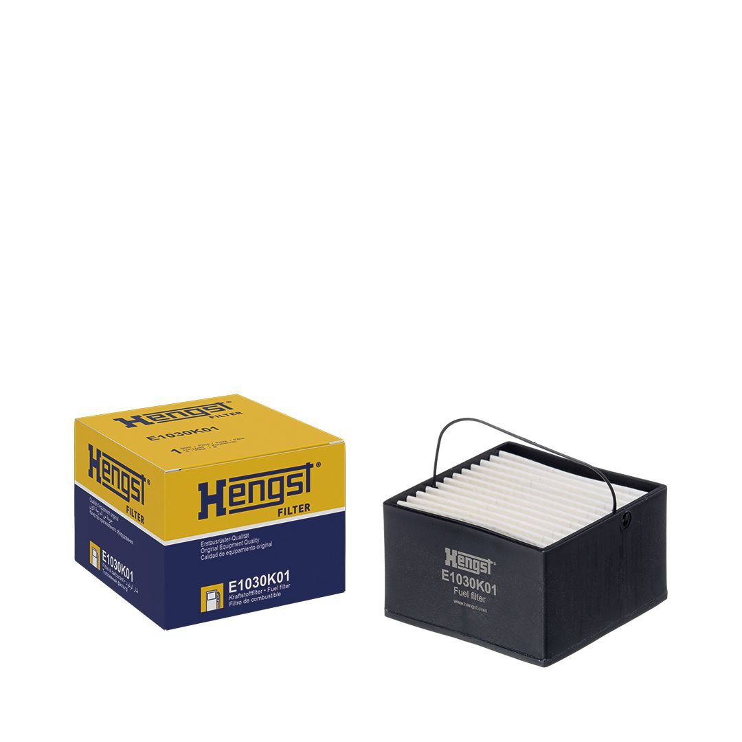 E1030K01 Hengst Filtro de gasolina