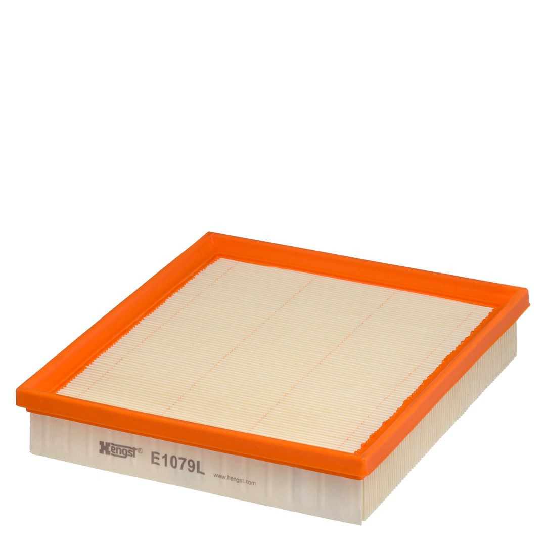 Filtro aire Hengst E1079L