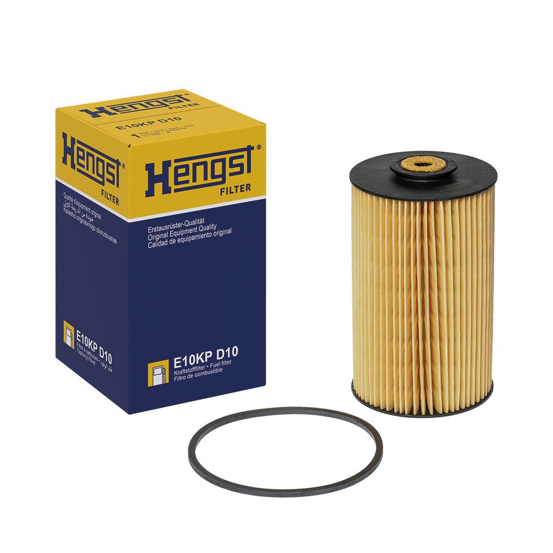 E10KPD10 Hengst Filtro de gasolina
