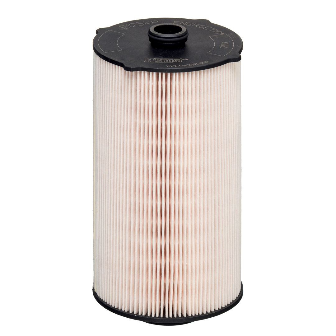 Filtro combustible Hengst E125KPD302 precio, desde 39,81 EUR
