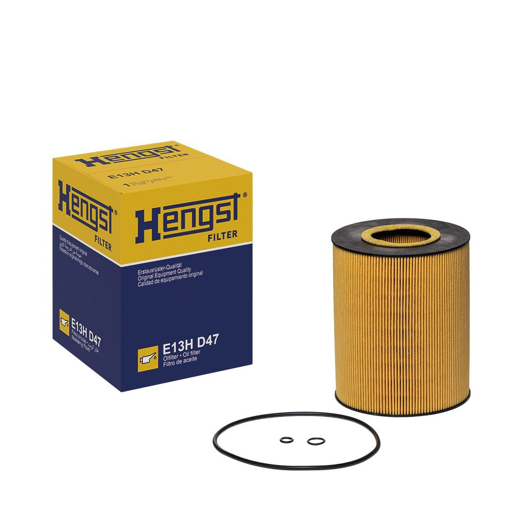 E13HD47 Hengst Filtro aceite