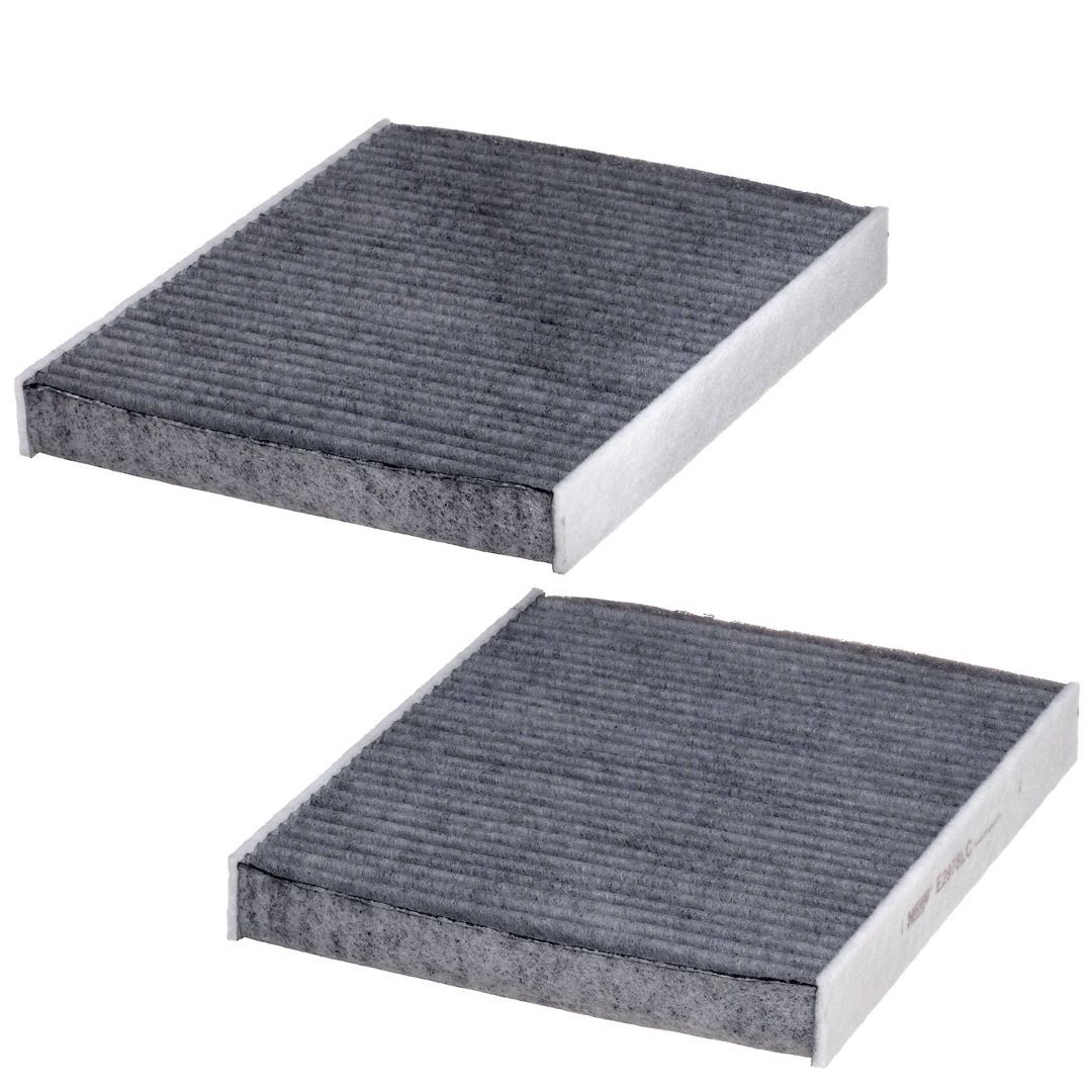 E2978LC2 Hengst Filtro antipolen