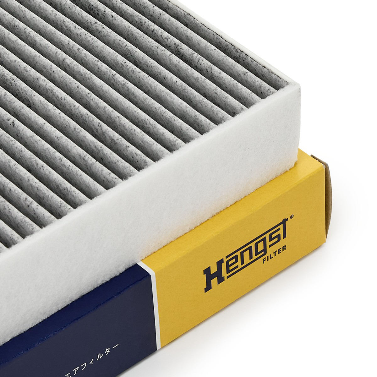 E2991LC Hengst Filtro antipolen