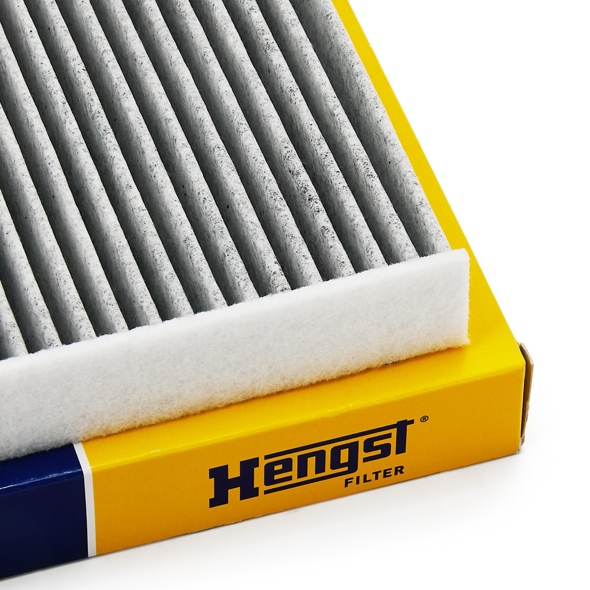 E2998LC Hengst Filtro antipolen