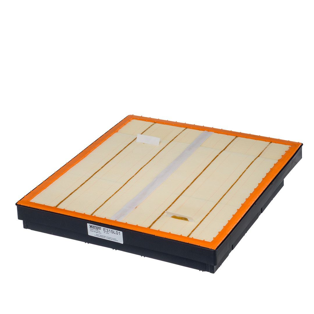 E315L01 Hengst Filtro de aire de motor