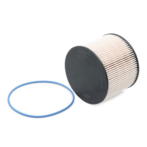E425KPD219 Hengst Filtro de gasolina
