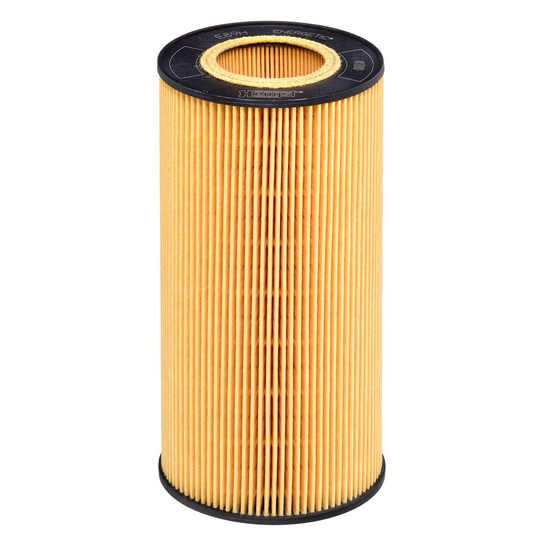 E89HD213 Hengst Filtro aceite