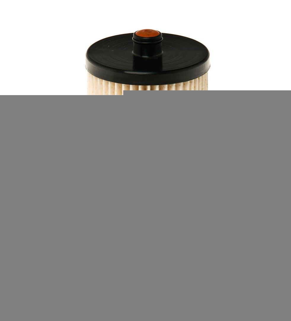 E93KPD177 Hengst Filtro de gasolina