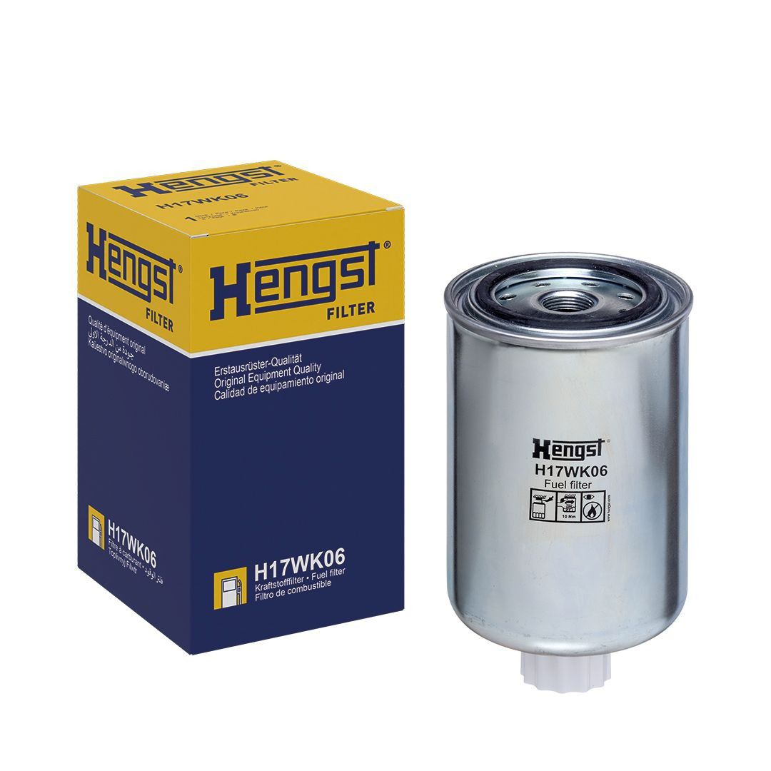 H17WK06 Hengst Filtro de gasolina