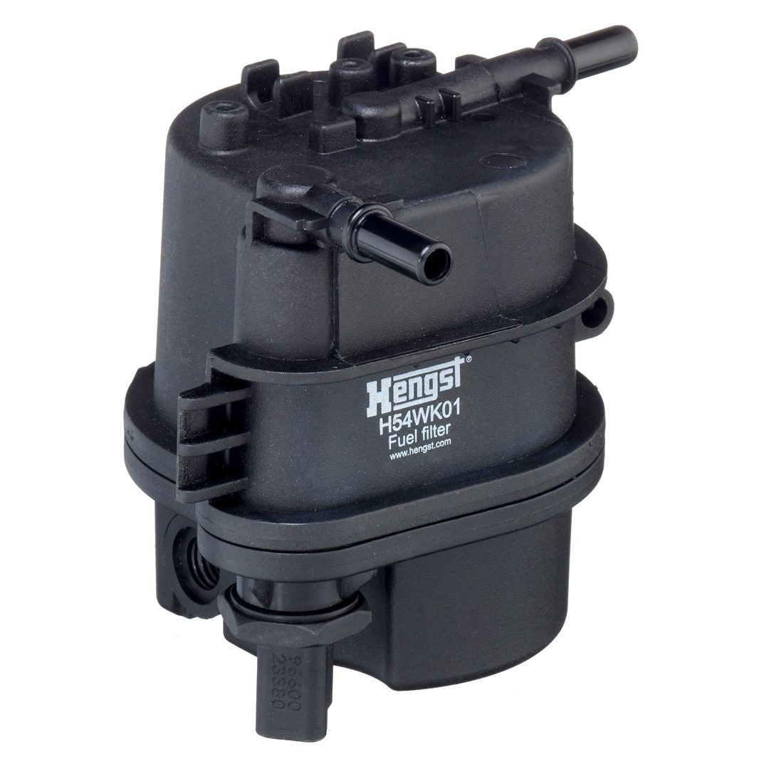 H54WK01 Hengst
