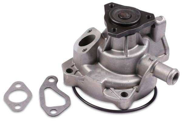 Bombeadora de agua Hepu P530 precio, desde 56,05 EUR