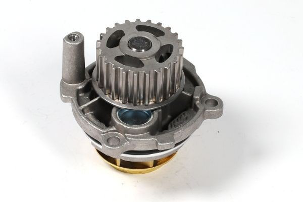 Motor de agua Hepu P545