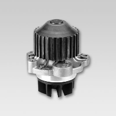 P802 Hepu Bomba refrigerante coche