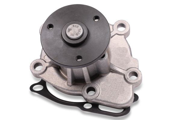 Comprar P901 Hepu Bomba de agua para motor