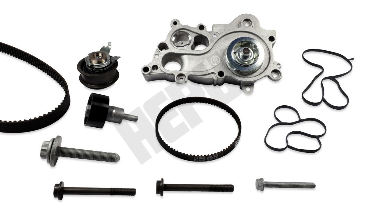 Kit de distribución VKMC01281 SKF