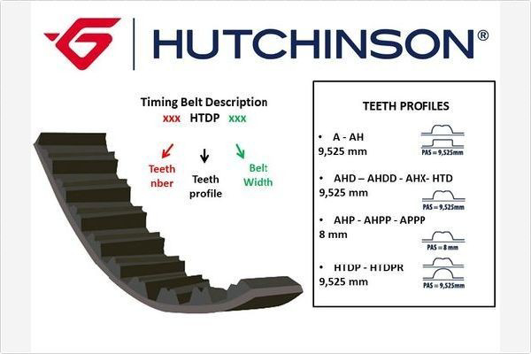 111HTDP17 Hutchinson Correa dentada