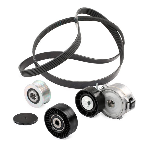 Comprar Correa de transmisión Land Rover Freelander II L359