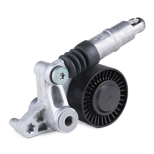 Tensor de la correa trapecial INA 534035610 precio, desde 52,42 EUR