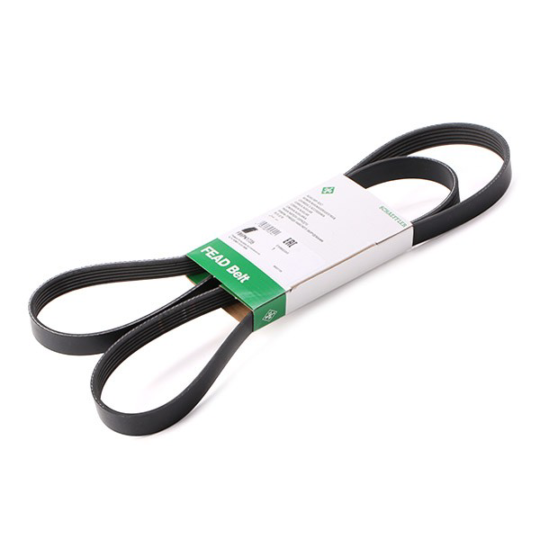 FB6PK1735 INA Correa poly v
