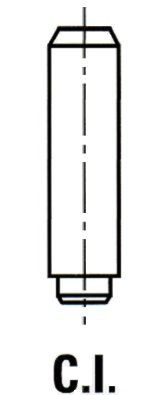 VG106300 Ipsa