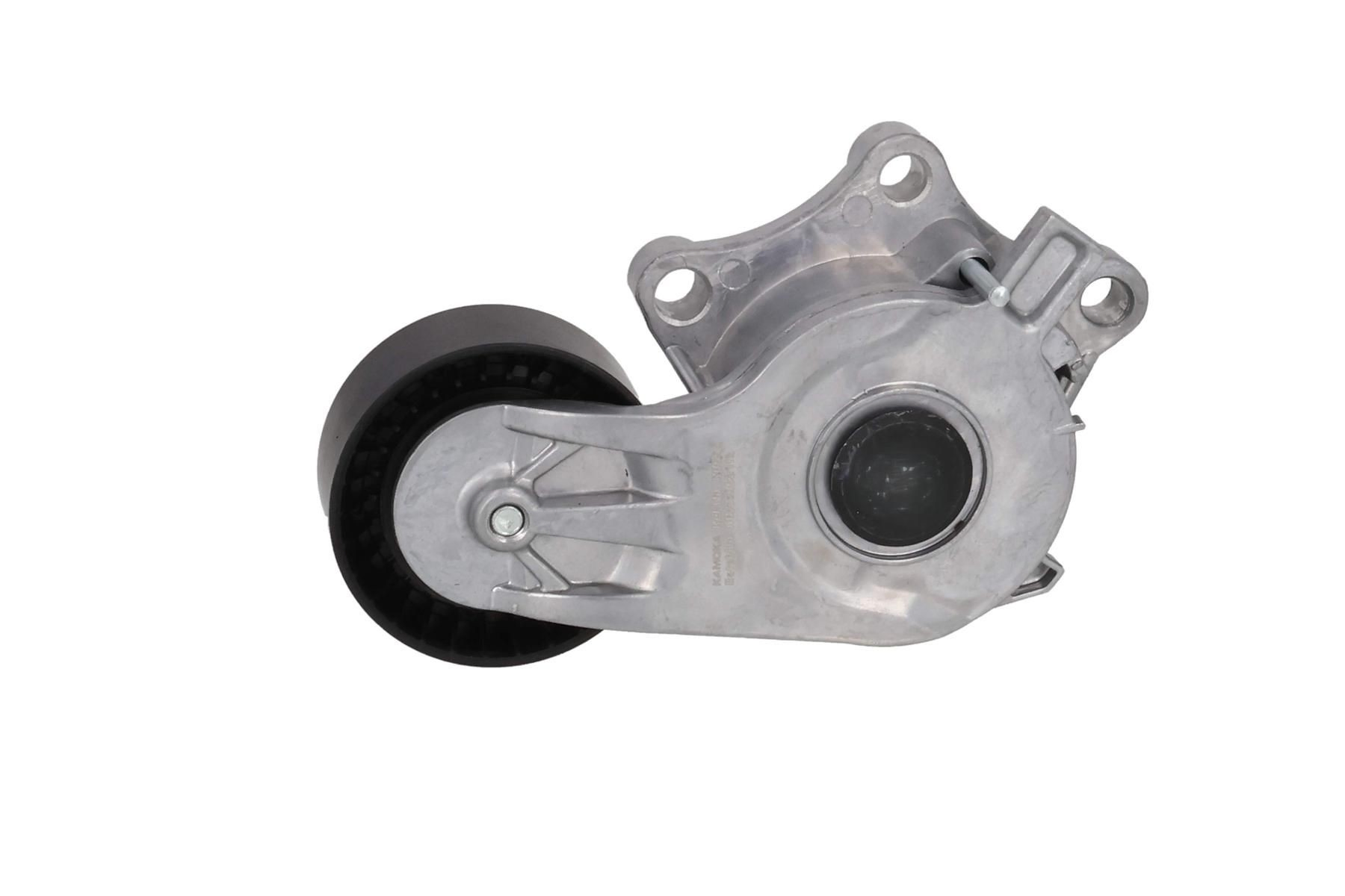 9824830580 Peugeot/Citroen Tensor de correa auxiliar