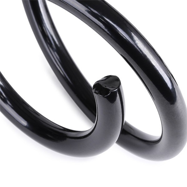 Muelle delantero Kayaba RA1103 precio, desde 34,06 EUR