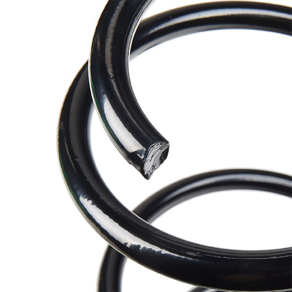 Muelle delantero 31336851920 BMW