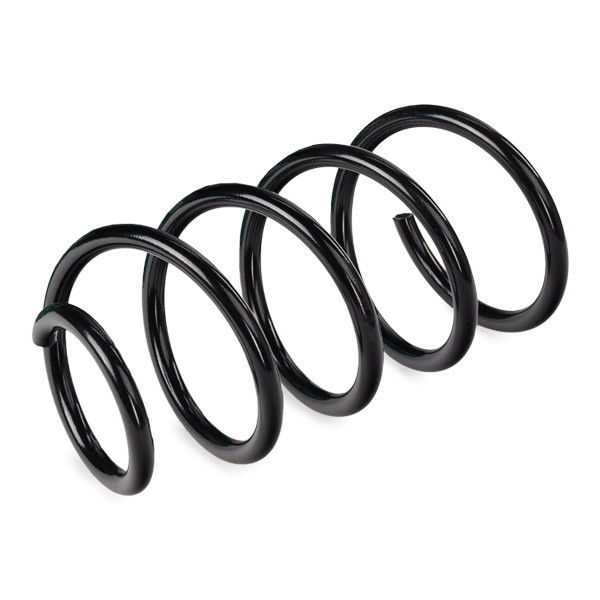 31339806812 BMW Muelle delantero
