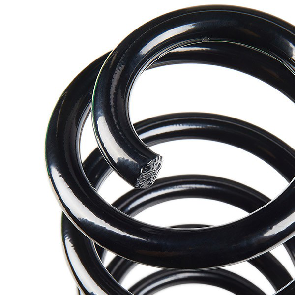 Muelle de suspensión trasero Kayaba RA6161 precio, desde 43,56 EUR