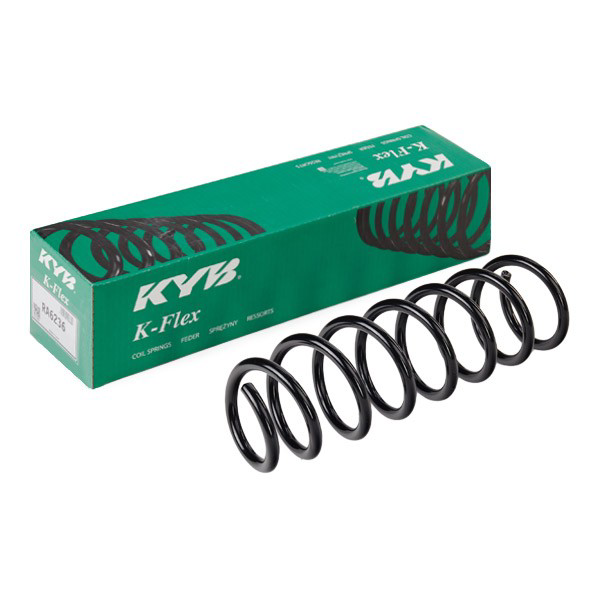 Muelle trasero para BMW 5  F10