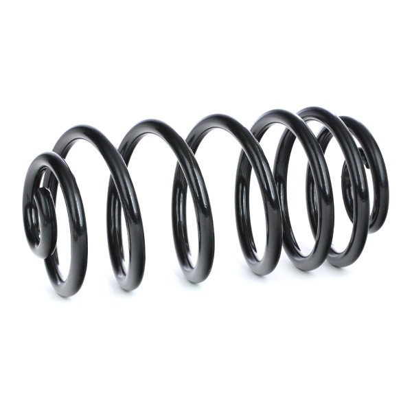 Muelle de suspensión trasero Kayaba RA6232 precio, desde 45,19 EUR