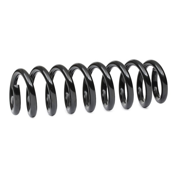 Muelle de suspensión trasero Kayaba RA7061 precio, desde 50,89 EUR