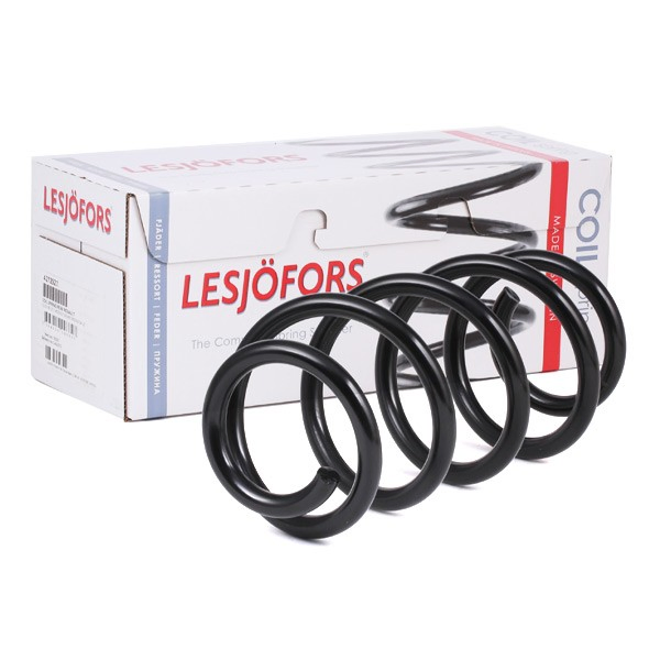 4004289 Lesjofors Muelle delantero