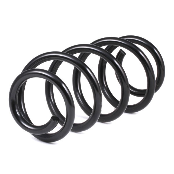 Muelle delantero 4004289 Lesjofors