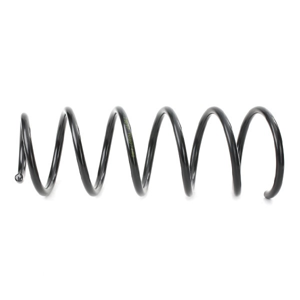 4014223 Lesjofors Muelle delantero