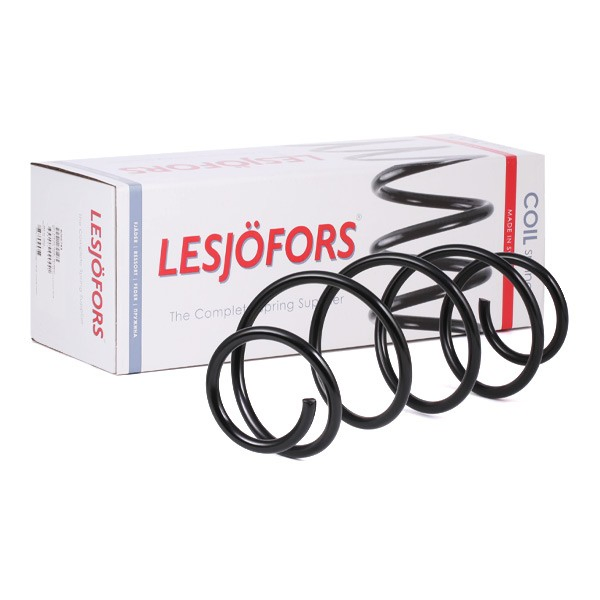 4066848 Lesjofors Muelle delantero